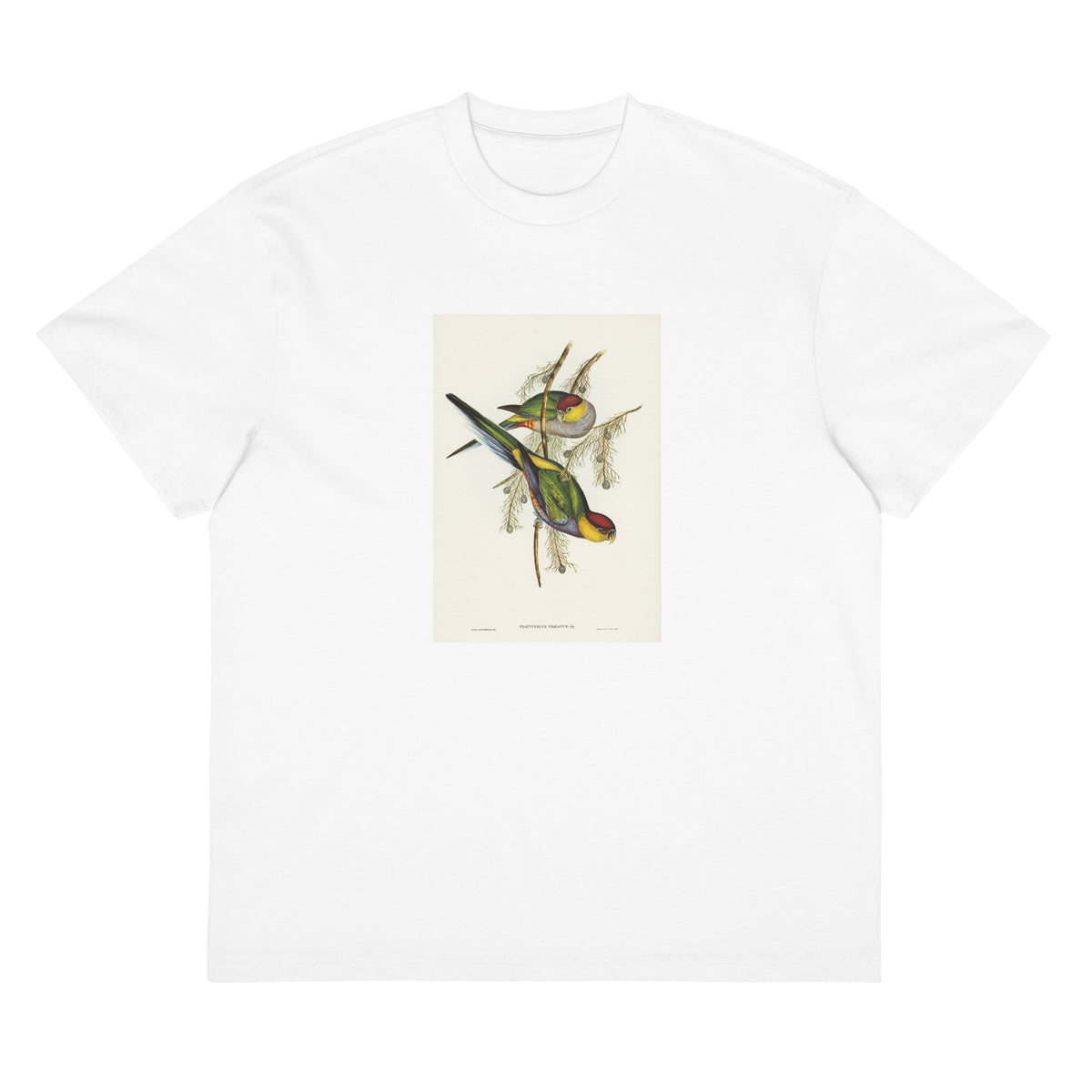 White T-shirt Red-Capped Parakeet Platycercus Pileatus Illustrated - Elizabeth Gould 1804 Signature