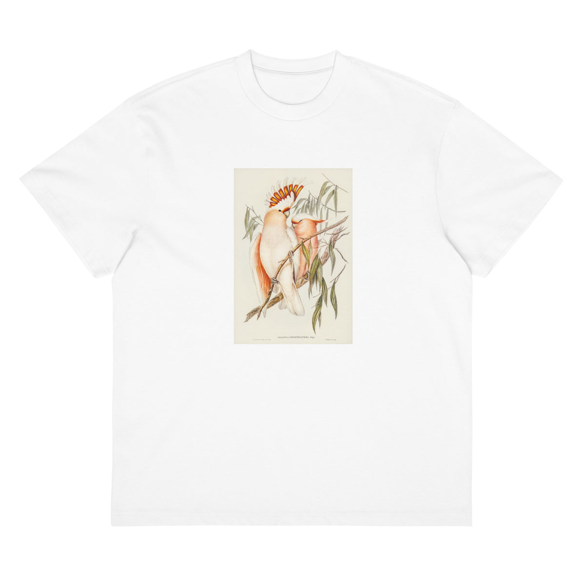 White T-shirt Leadbeater S Cockatoo Cacatua Leadbeaterii Illustrated - Elizabeth Gould 1804 Signature