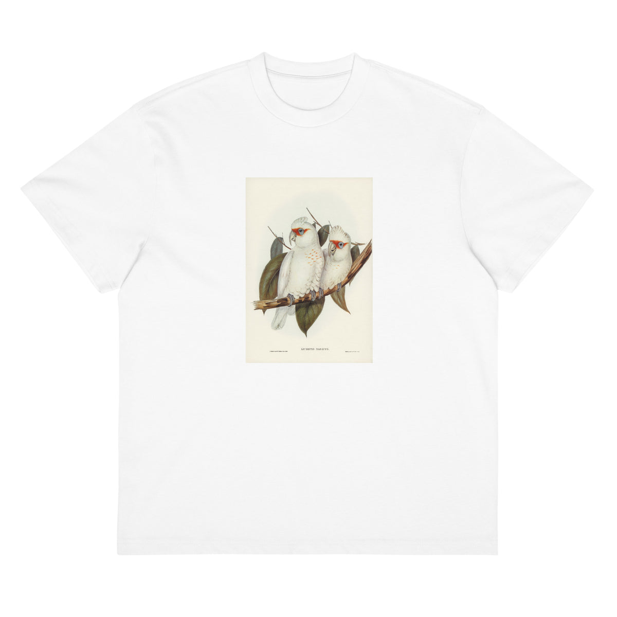 White T-shirt Long-Billed Cockatoo Licmetis Nasicus Illustrated - Elizabeth Gould 1804 Signature