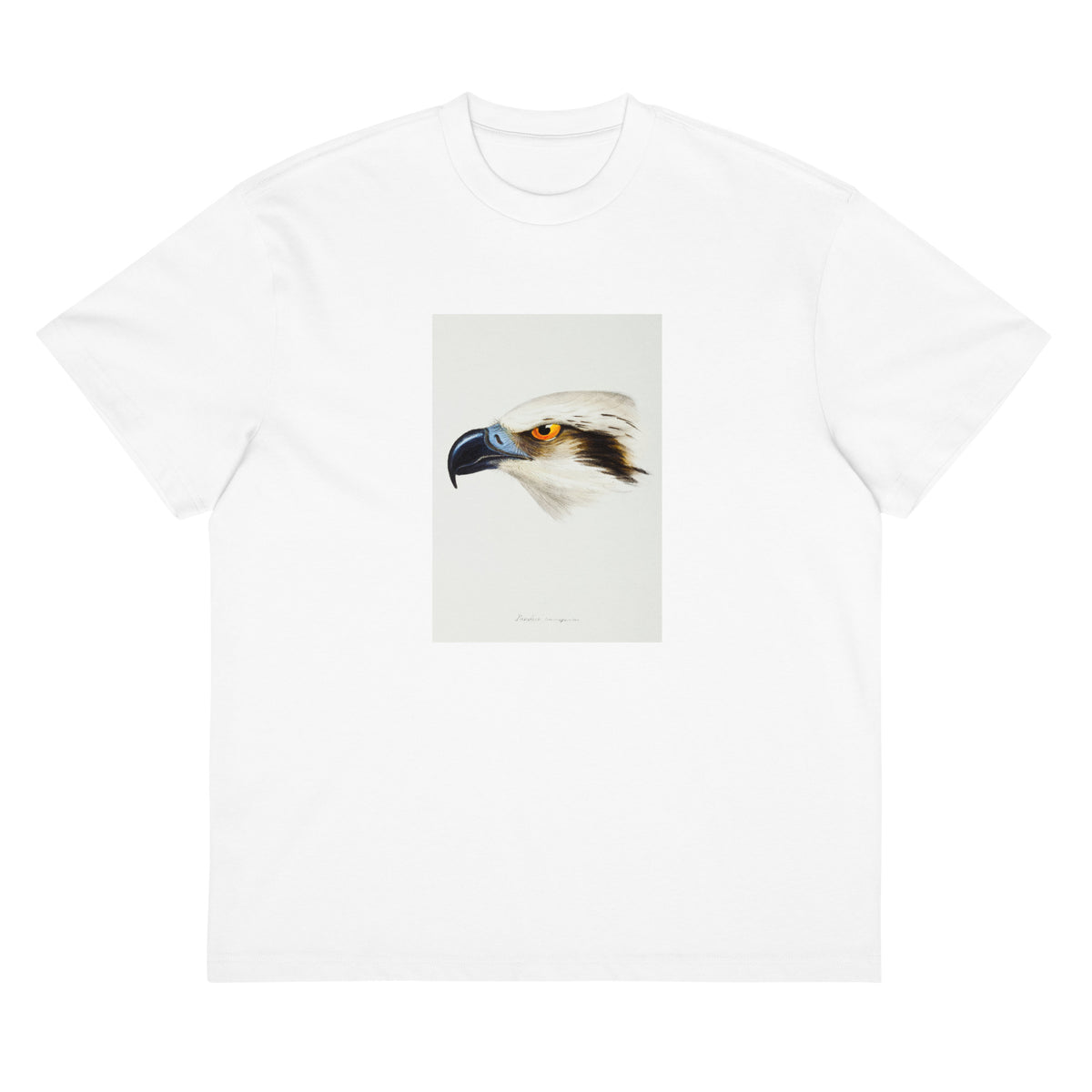 White T-shirt White-Headed Osprey Pandion Leucocephalus Illustrated Signature