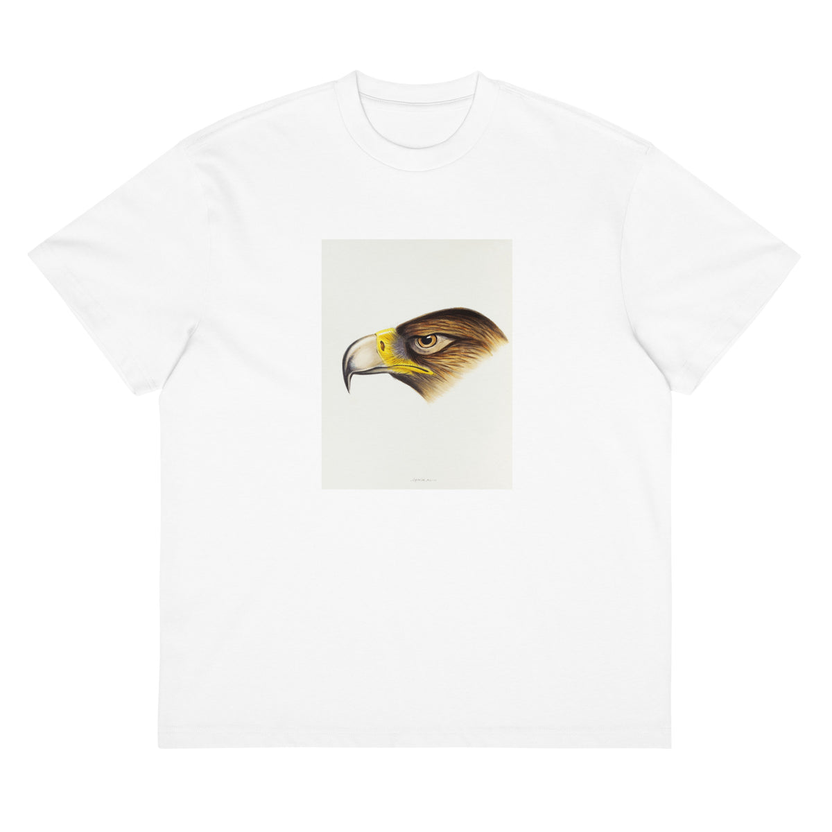 White T-shirt Wedge-Tailed Eagle Aquila Fucosa Illustrated Signature