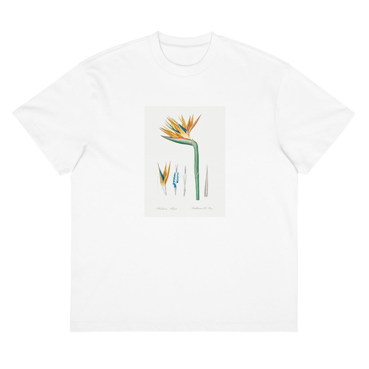 White T-shirt Bird Of Paradise Illustration Signature