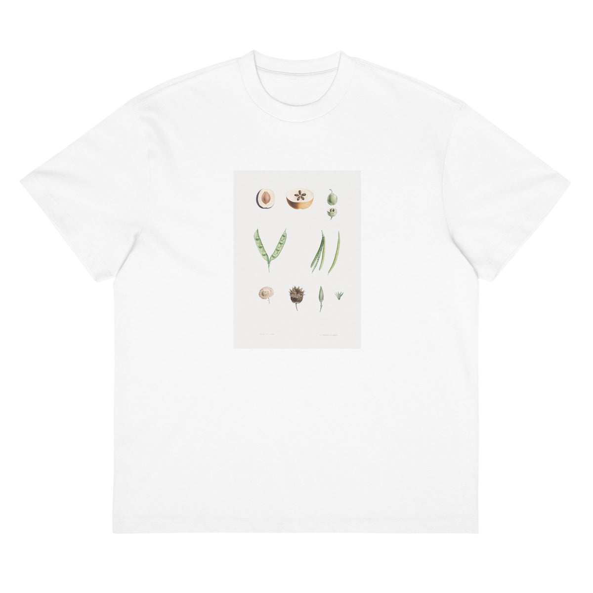 White T-shirt Plants Part - Pierre-Joseph Redoute 1759 Signature