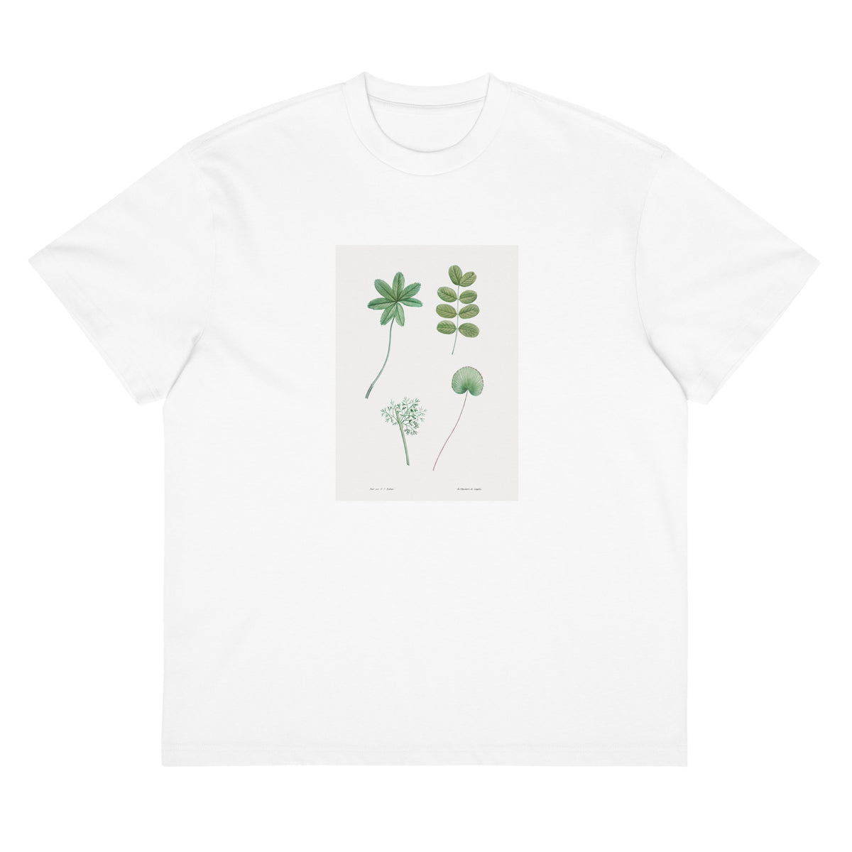 White T-shirt Tree Leaf Set - Pierre-Joseph Redoute 1759 Signature