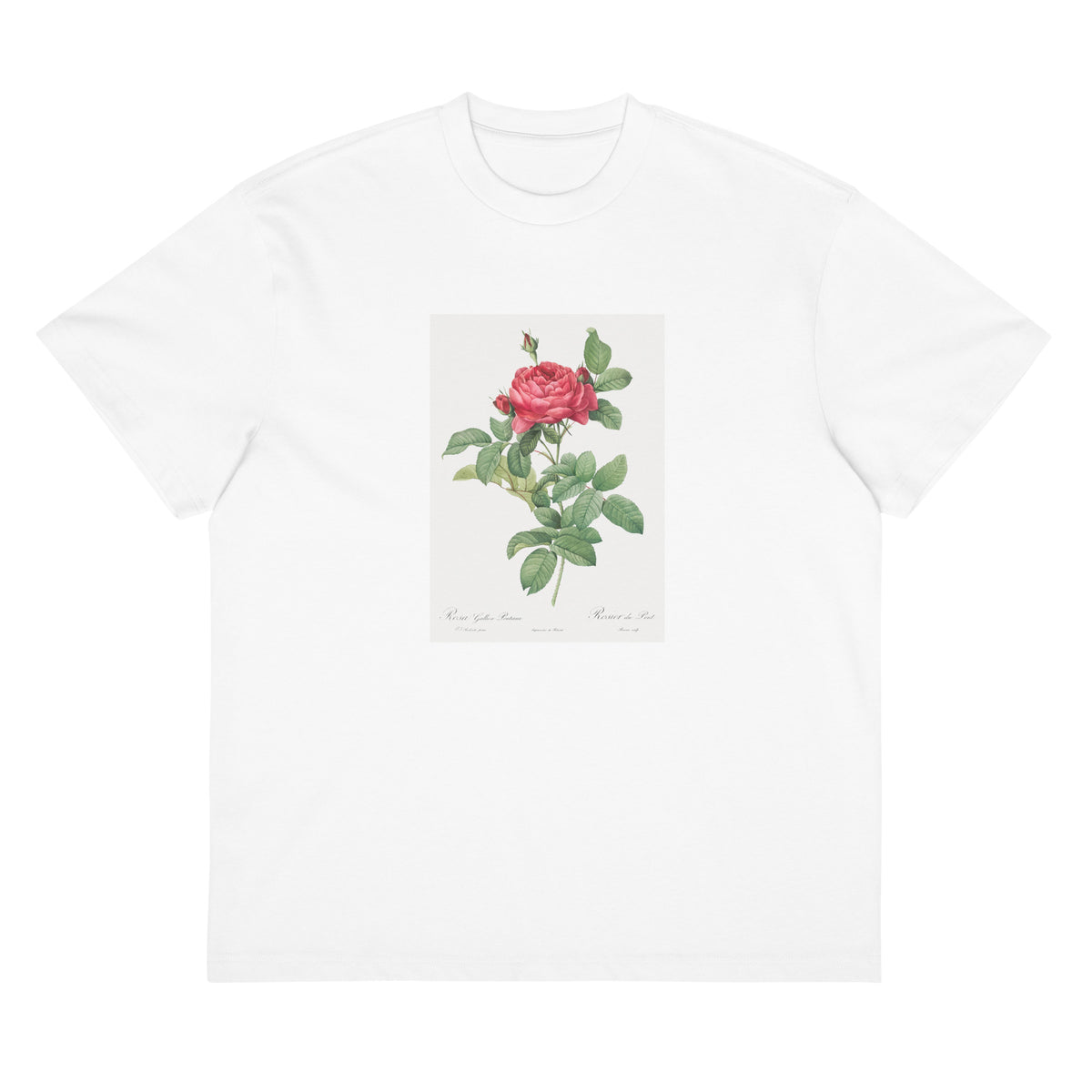 White T-shirt Rosa Gallica Pontiana Also Known As Bridge Rose Signature