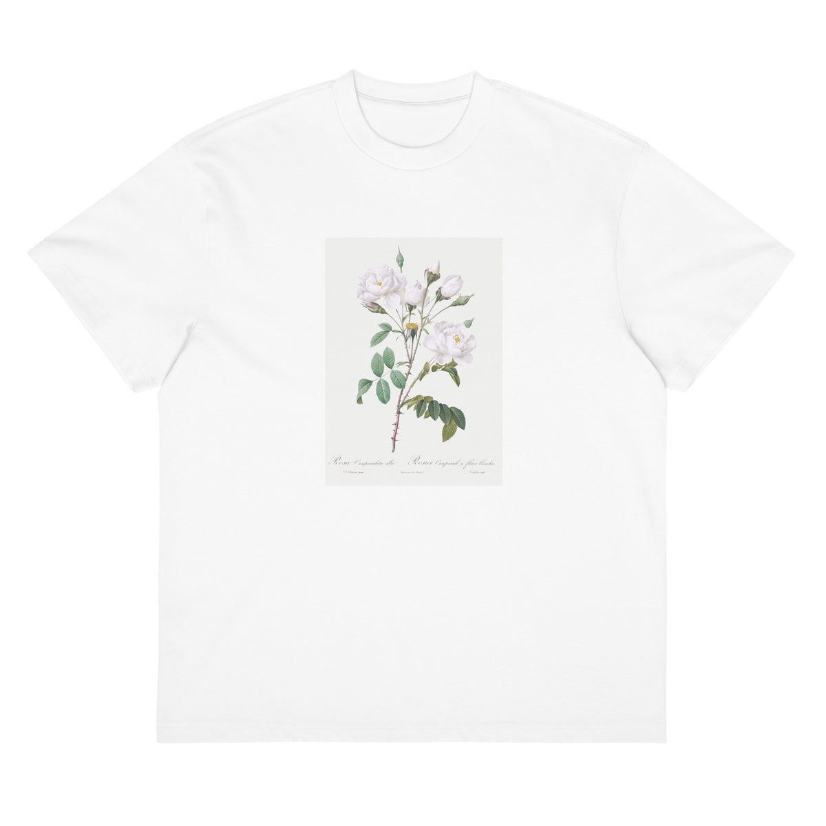 White T-shirt Rosa Campanulata Alba Also Known As Pink Bellflowers To White Flowers Signature