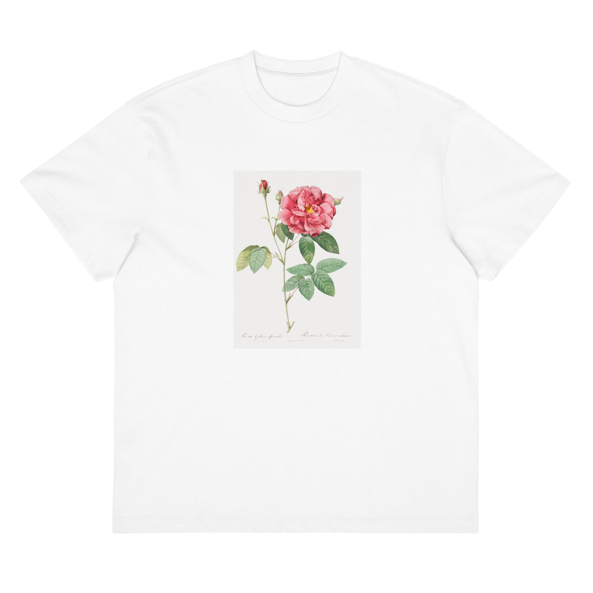 White T-shirt French Rose Also Known As Ordinary Provins Rosebush Rosa Galluca Offuenalis Signature