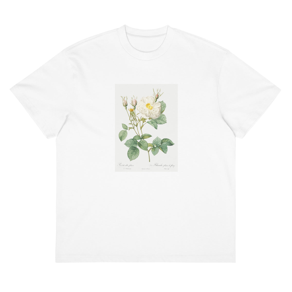 White T-shirt Rosa X Alba Also Known As The White Leaf Of Fleury Rosa Alba Foliacea Signature