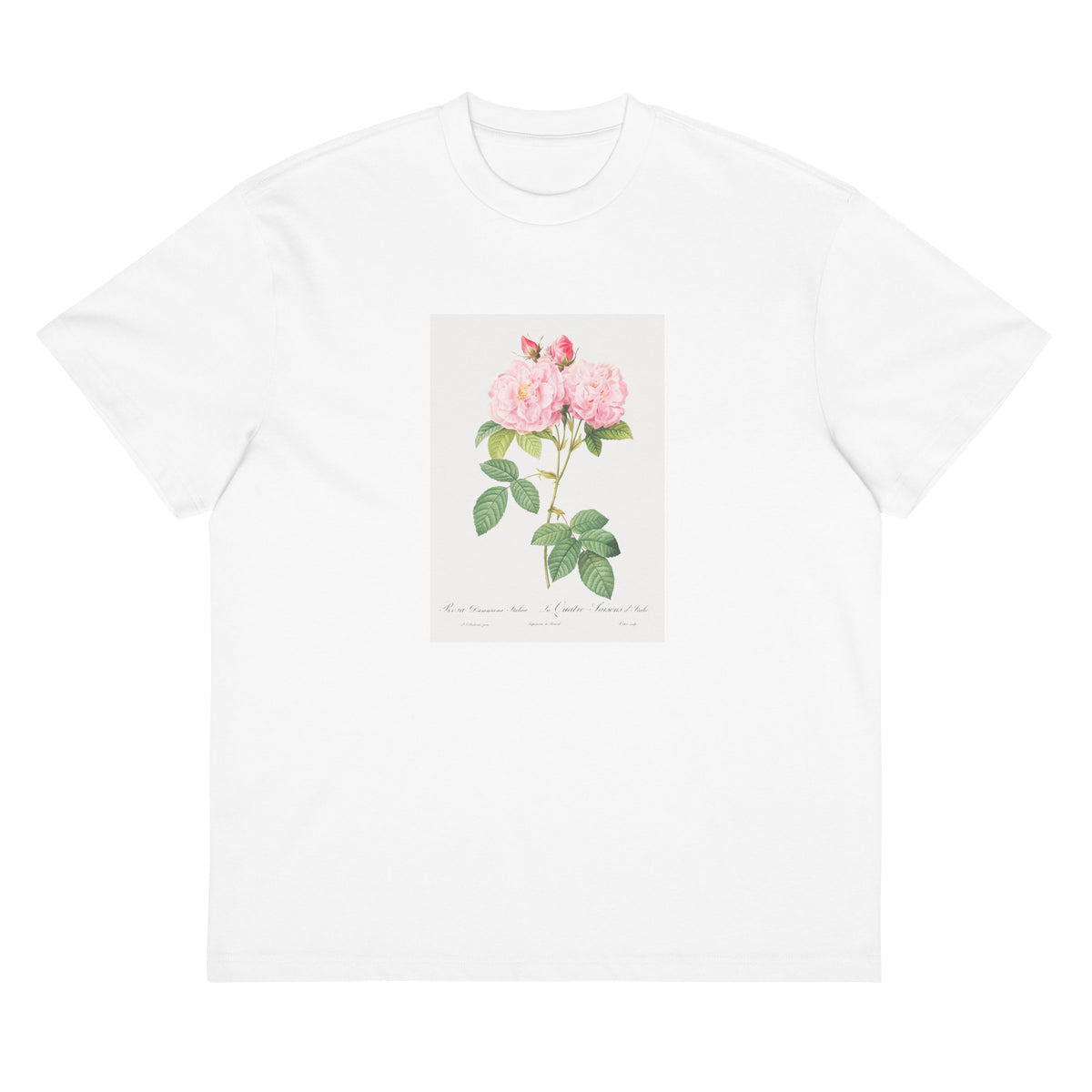 White T-shirt Italian Damask Rose Also Known As The Four Seasons Of Italy Rosa Damascena Italica Signature