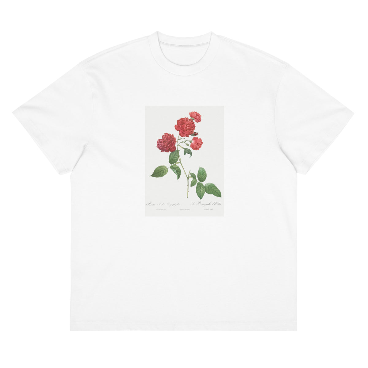 White T-shirt Red Cabbage Rose Also Known As Bengal Eyelet Rosa Indica Caryophyllea - Pierre-Joseph Redoute Original From The Library Of Congress 1817 Signature