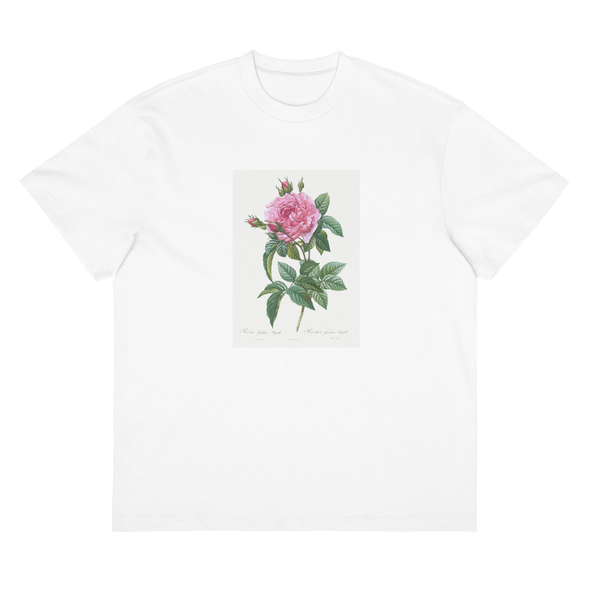 White T-shirt Gallic Rose Rosa Gallica Regalis Signature