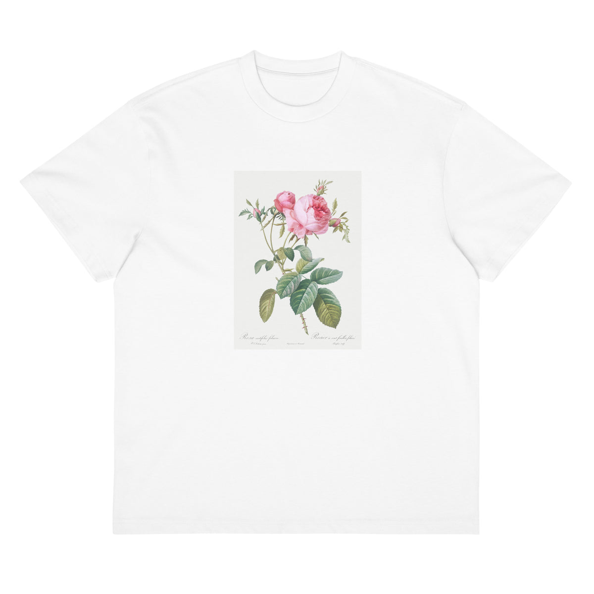 White T-shirt Rose De Mai Rosa Centifolia Foliacea Signature