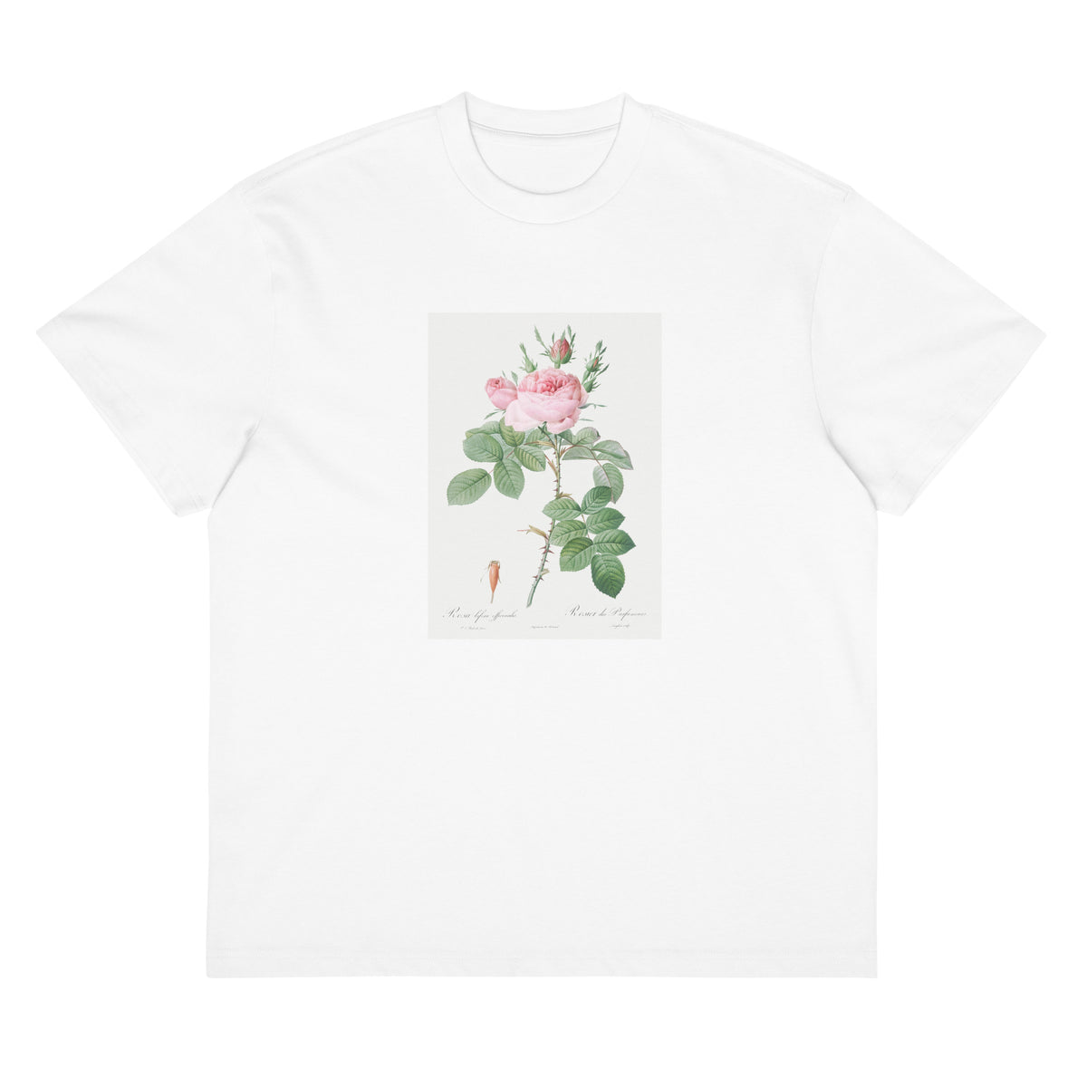White T-shirt Rosa Bifera Officinalis Also Known As Rose Of Perfume Signature