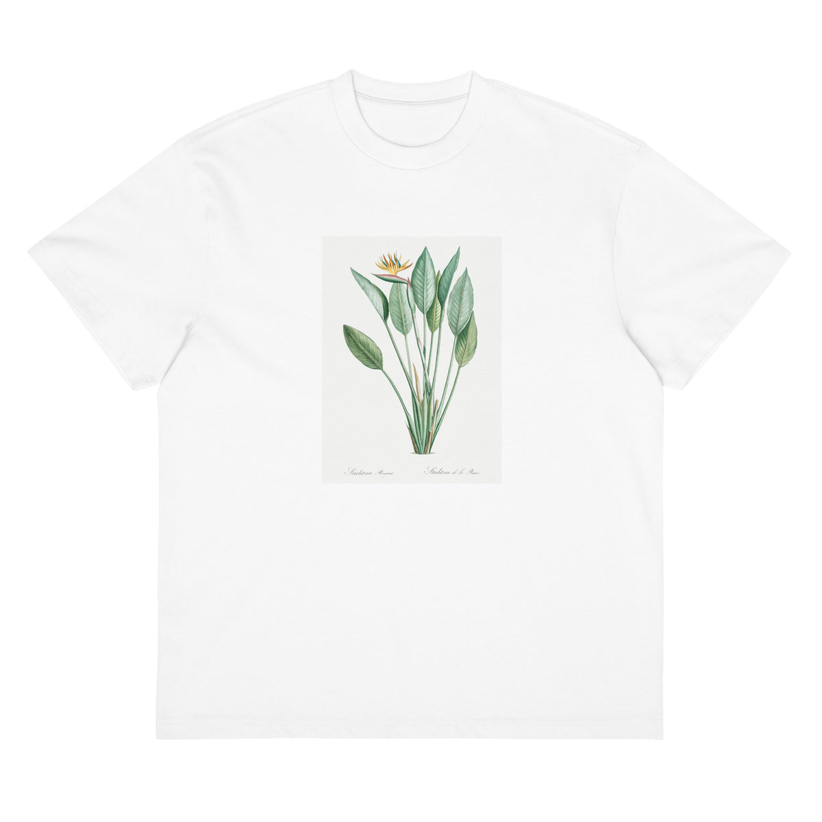 White T-shirt Bird Of Paradise Illustration II Signature