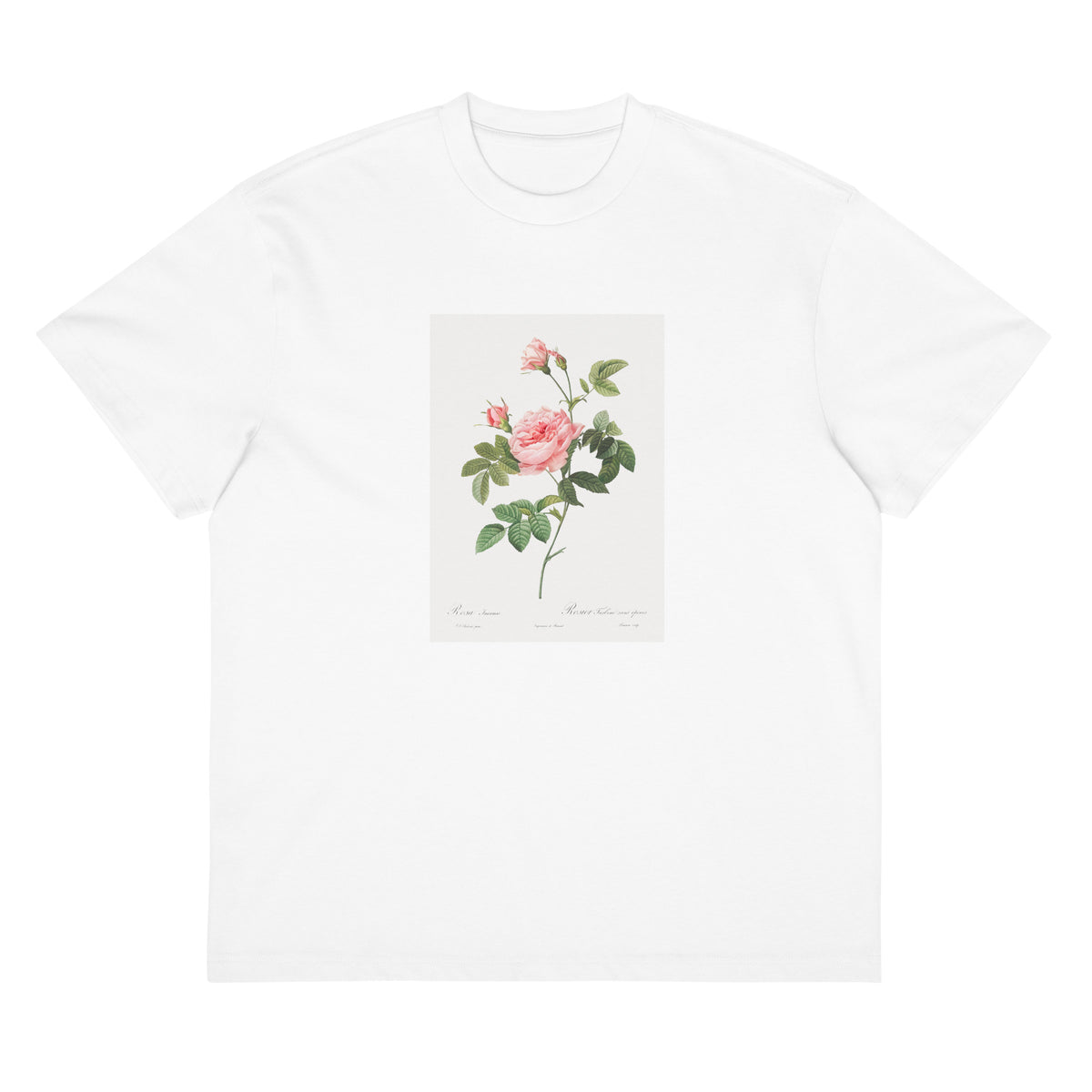 White T-shirt Boursault Rose Also Known As Rose Turbine Without Thorns Rosa Inermis Signature