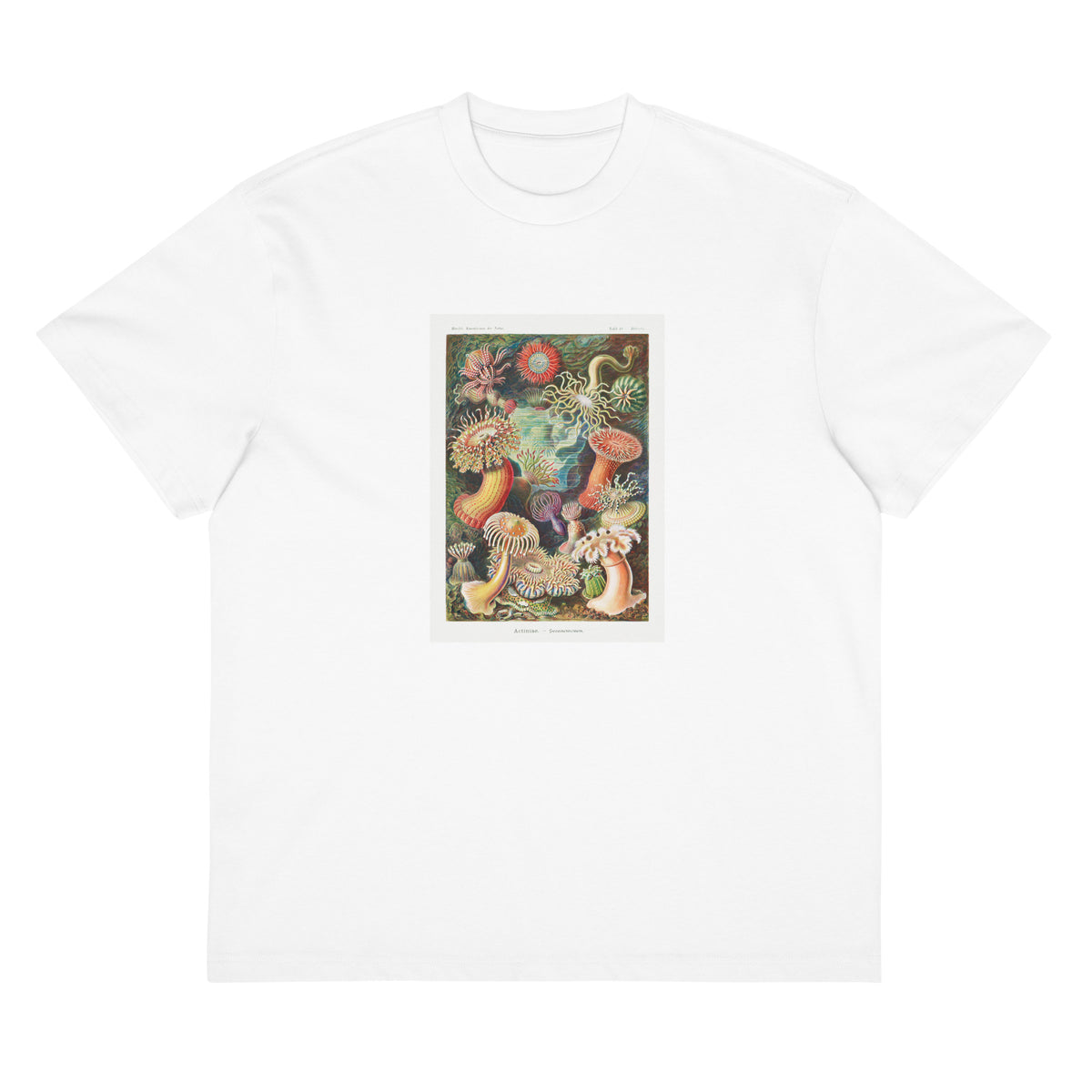 White T-shirt Actiniae Seeanemonen Signature