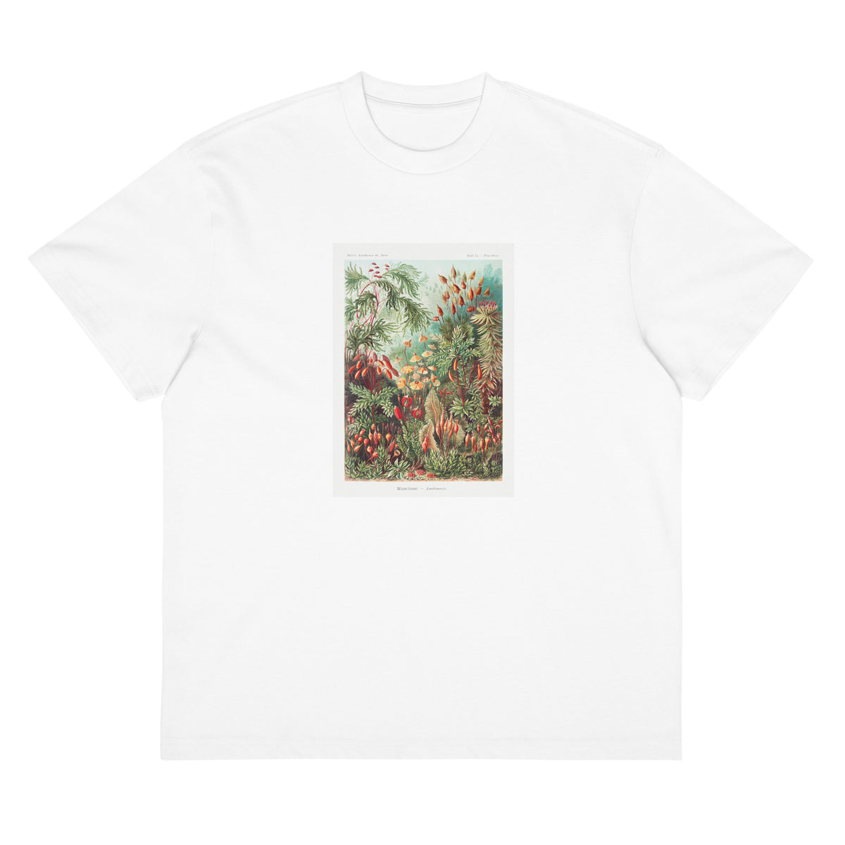 White T-shirt Muscinae Laubmoose A Giltsch Gem Signature
