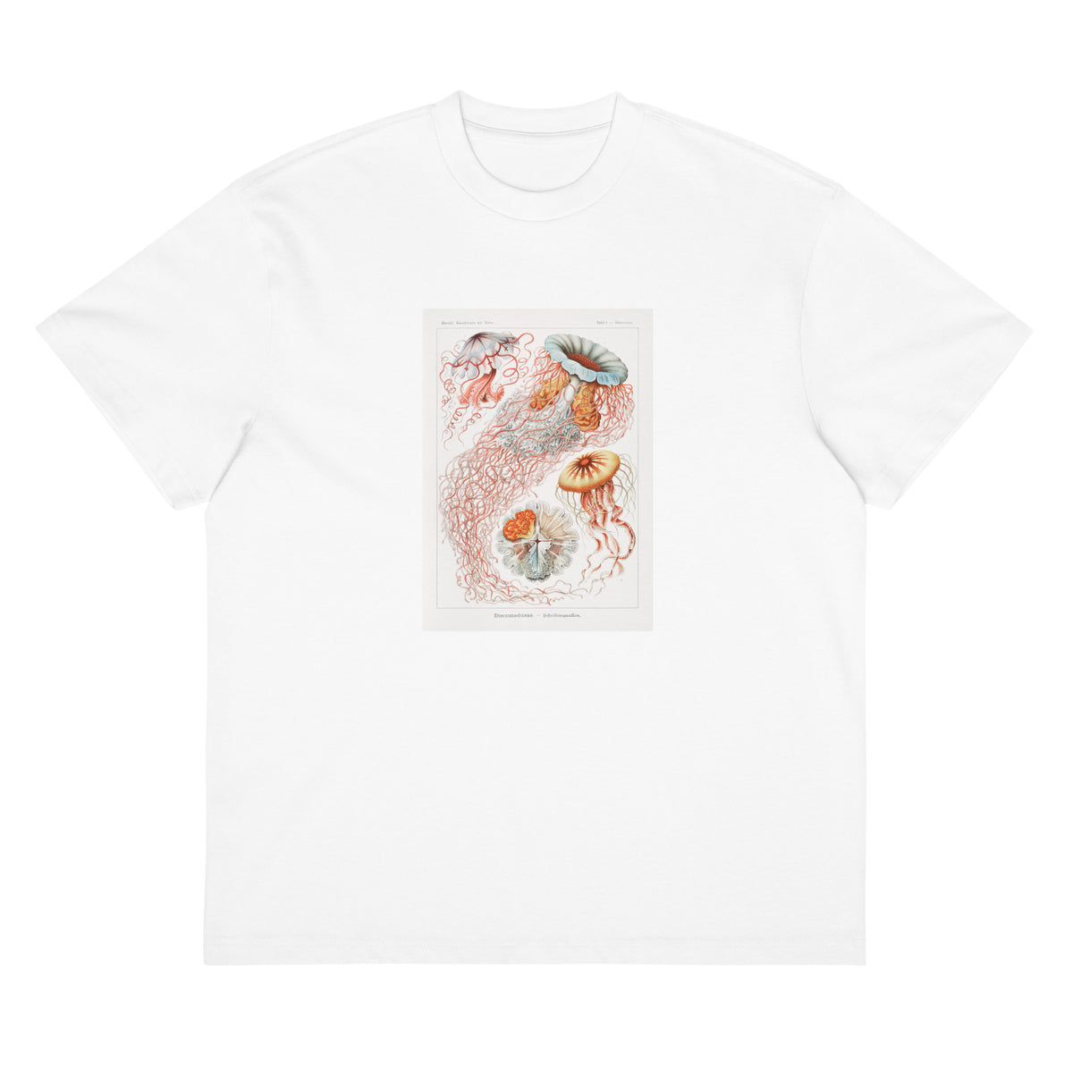 White T-shirt Discomedusae Scheibenquallen Signature