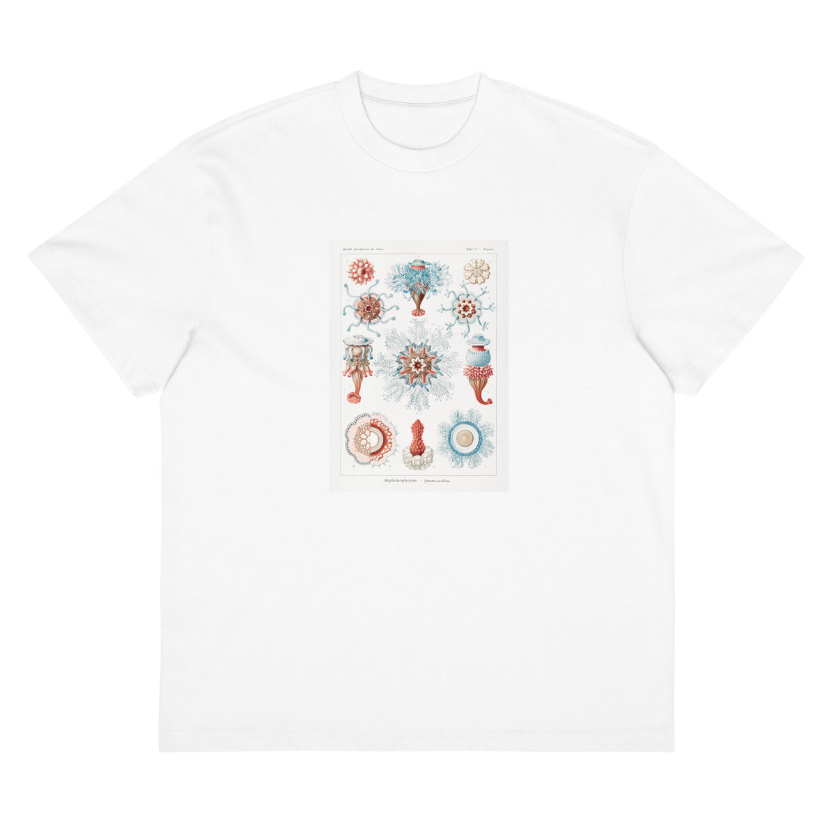White T-shirt Siphonophorae Staatsquallen Signature