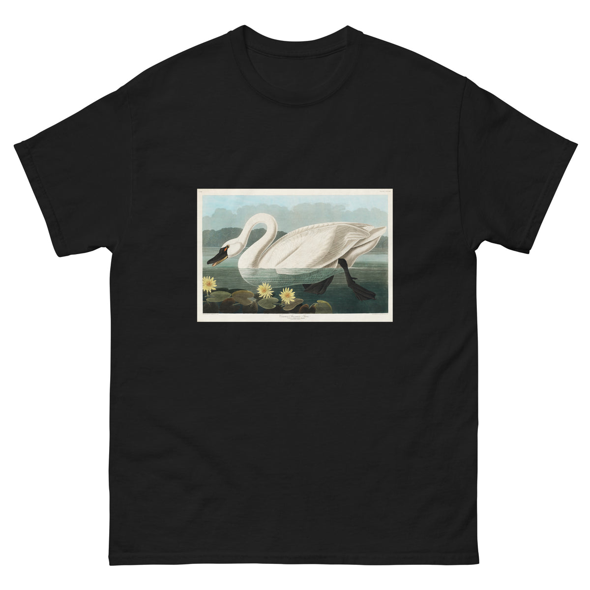 Black T-shirt Common American Swan - John James Audubon 1827 Essential