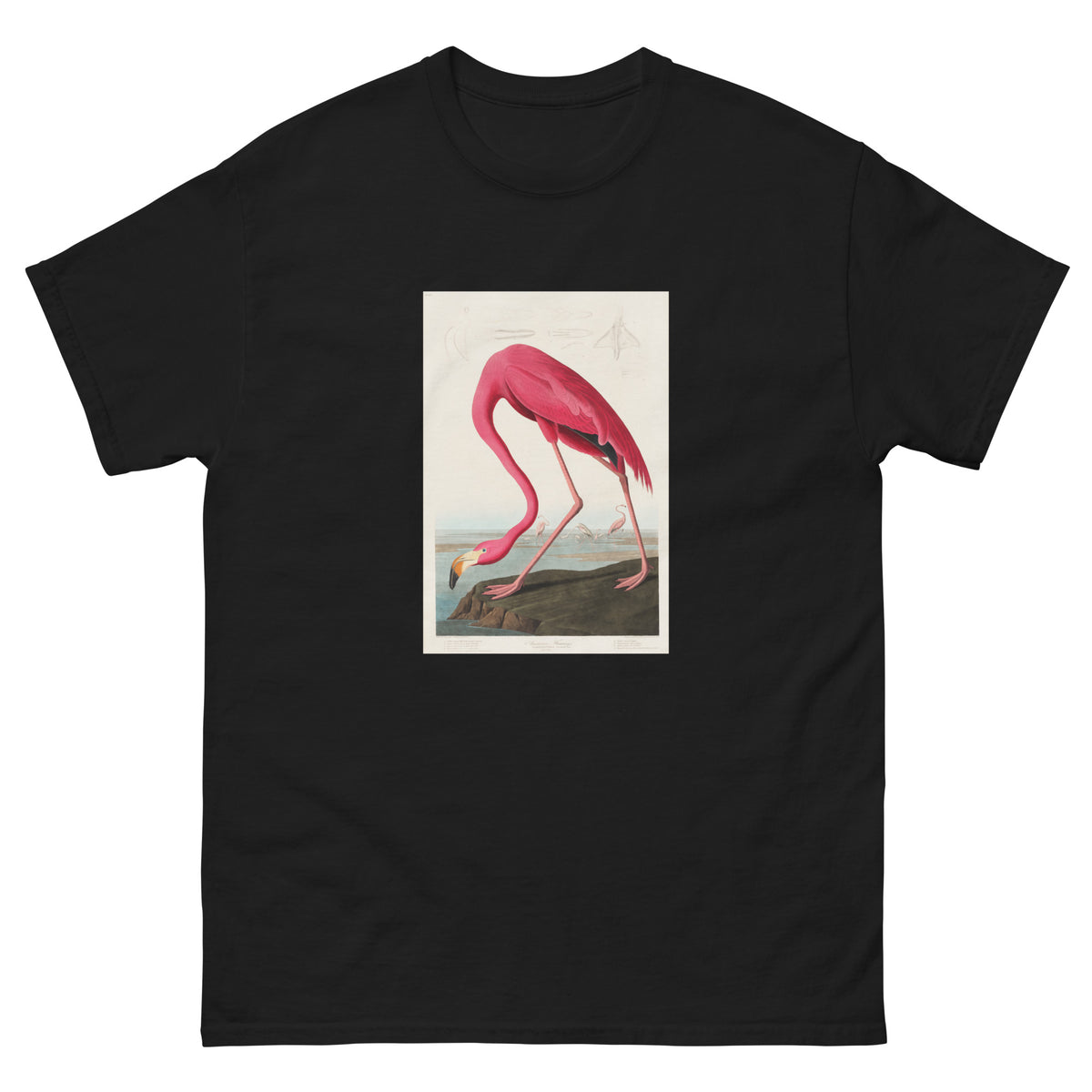Black T-shirt Pink Flamingo - John James Audubon 1827 Essential