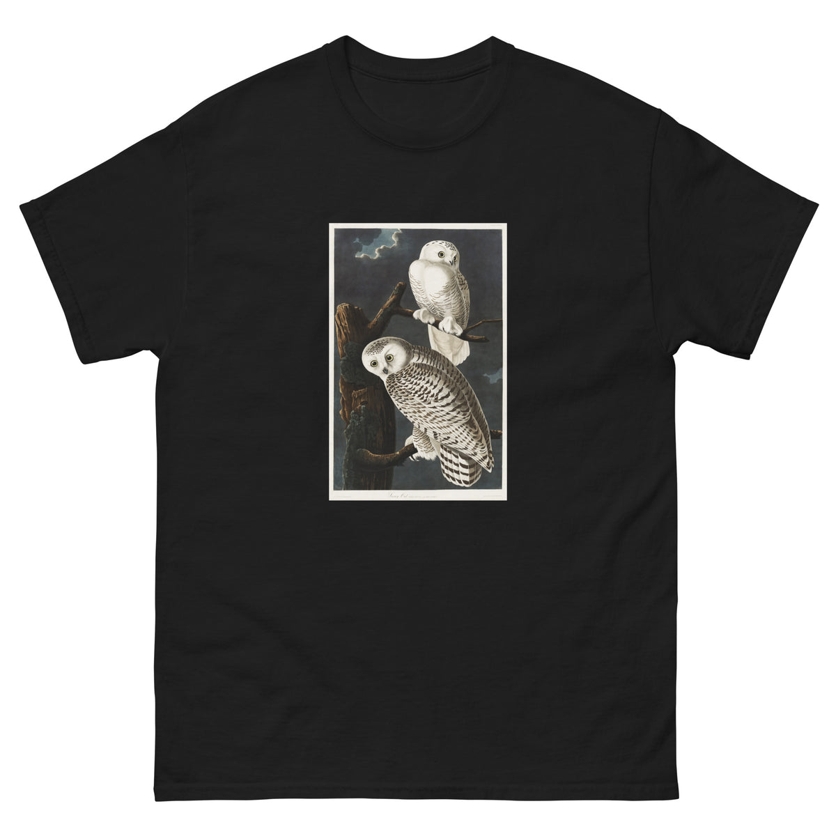 Black T-shirt Snowy Owl Essential