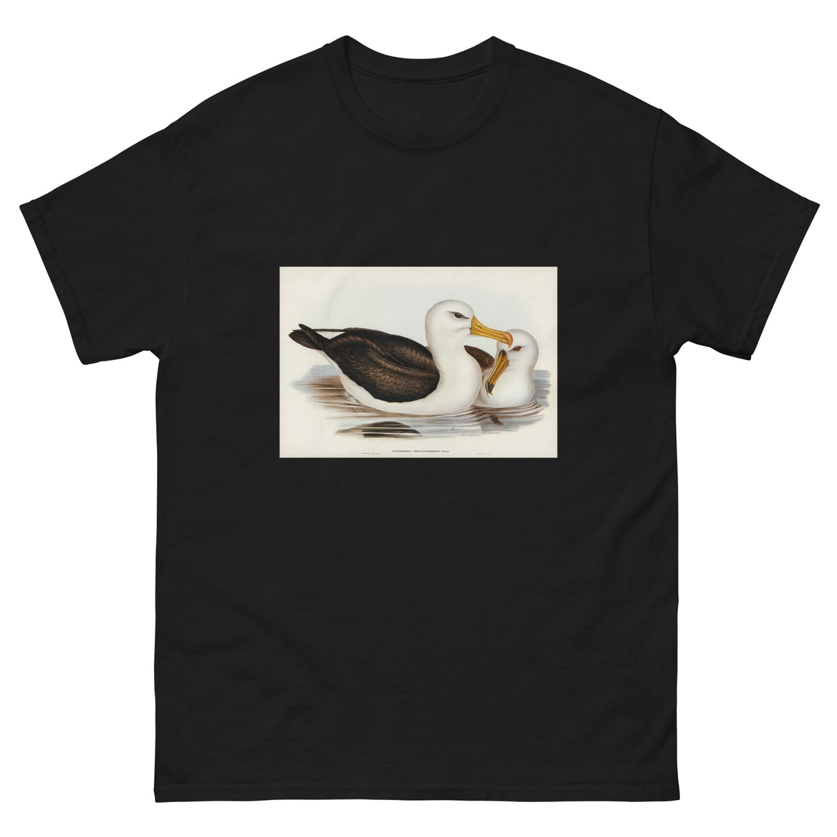 Black T-shirt Black-Eyebrowed Albatros Diomedea Melanophrys Illustrated - Elizabeth Gould 1804 Essential