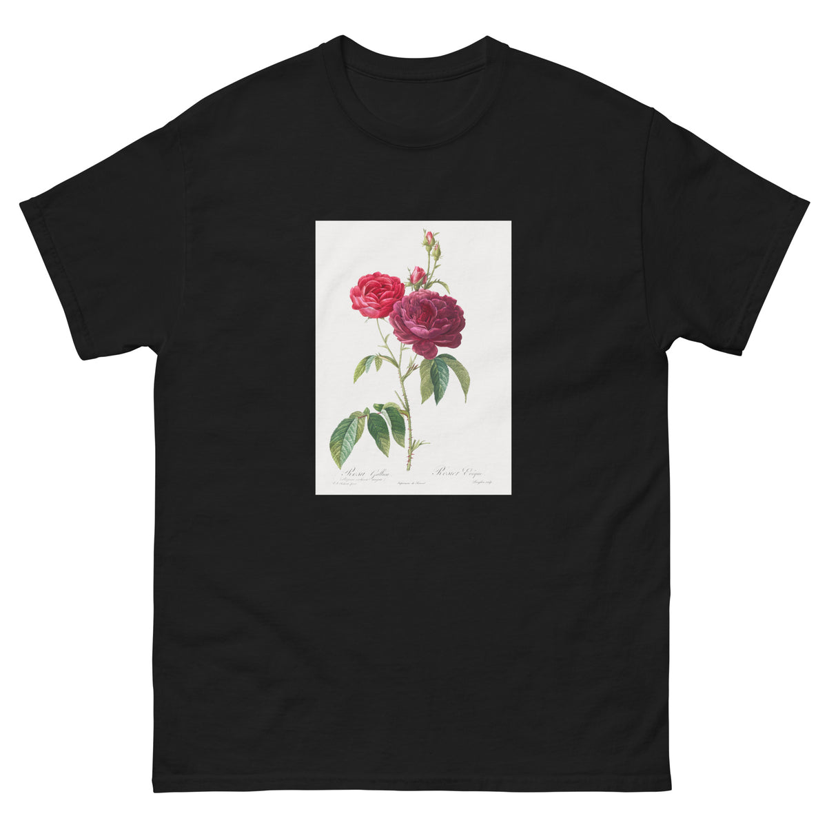 Black T-shirt Purple French Rose Rosa Gallica Purpuro-Violacea Magna Essential
