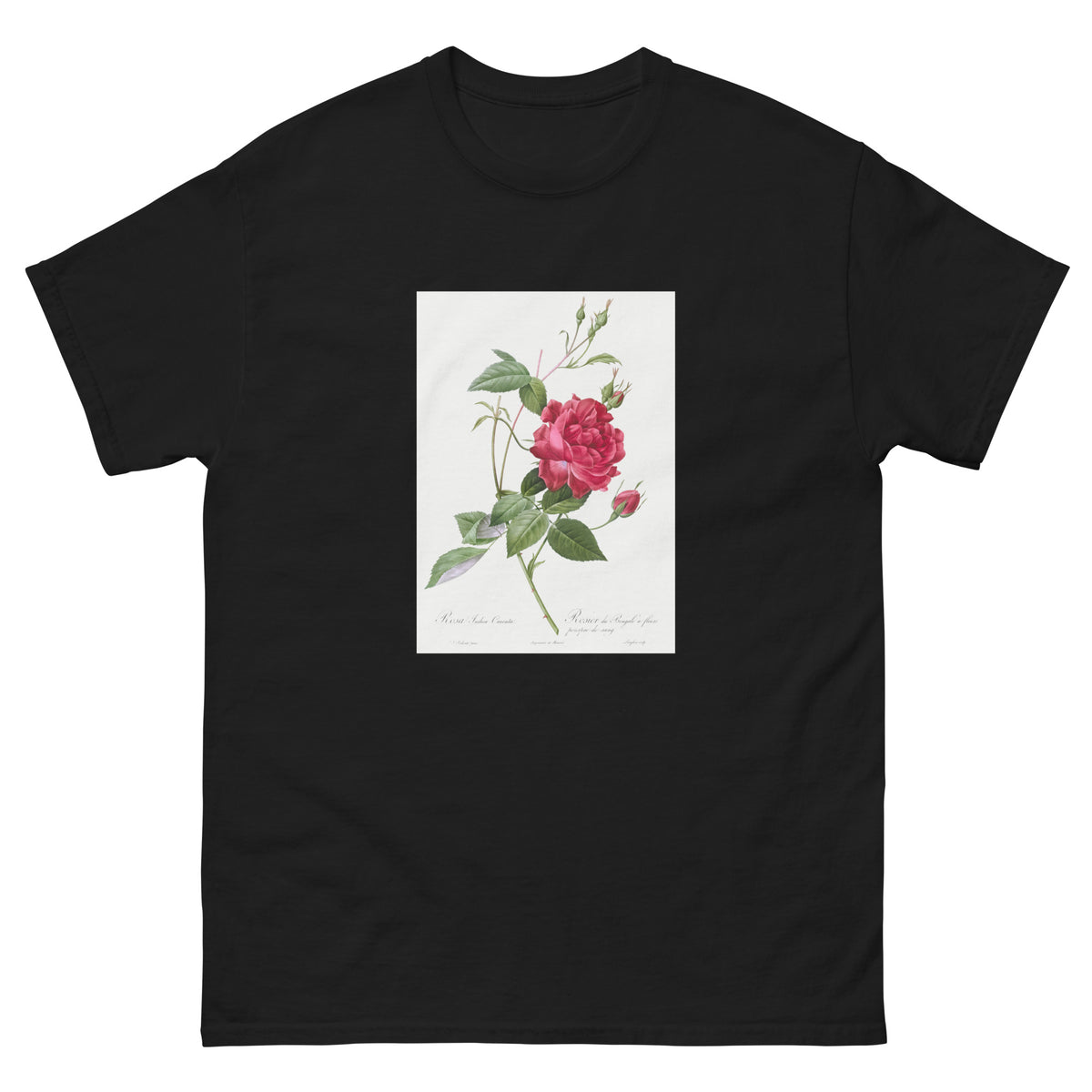 Black T-shirt Blood-Red Bengal Rose Rosa Indica Cruneta Essential