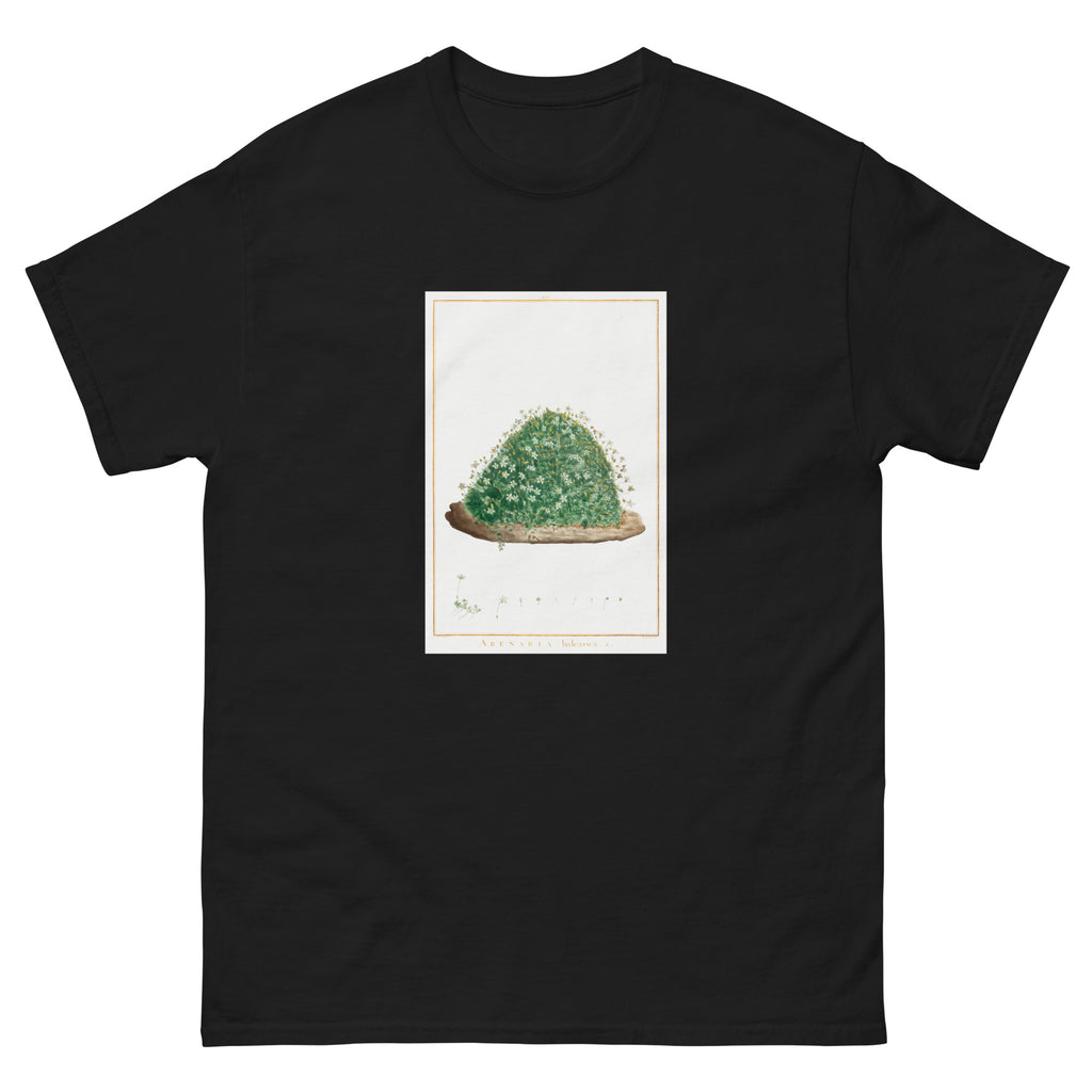 Black T-shirt Arenaria Balearica Image - Pierre-Joseph Redoute And Charles Louis L Heritier 1784 Essential
