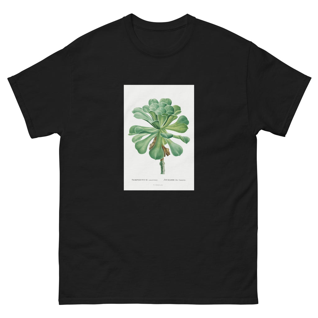 Black T-shirt Sempervivum Canariense Image Essential