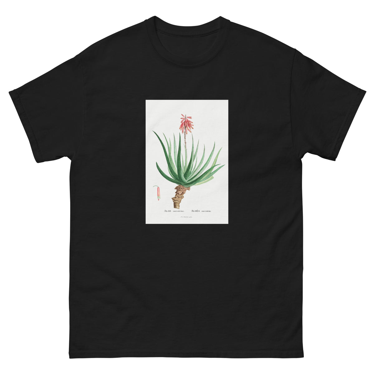 Black T-shirt Aloe Socotrina Image Essential