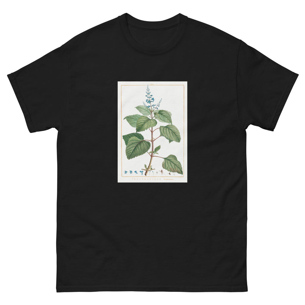 Black T-shirt Plectranthus Fruticosus Image - Pierre-Joseph Redoute And Charles Louis 1784 Essential