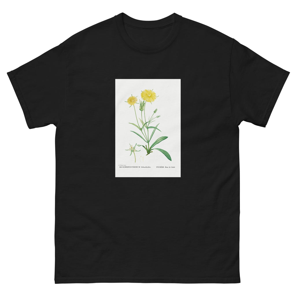 Black T-shirt Mesembryanthemum Helianthoides Spatula Leaved Fig Marigold - Pierre-Joseph 1799 Essential