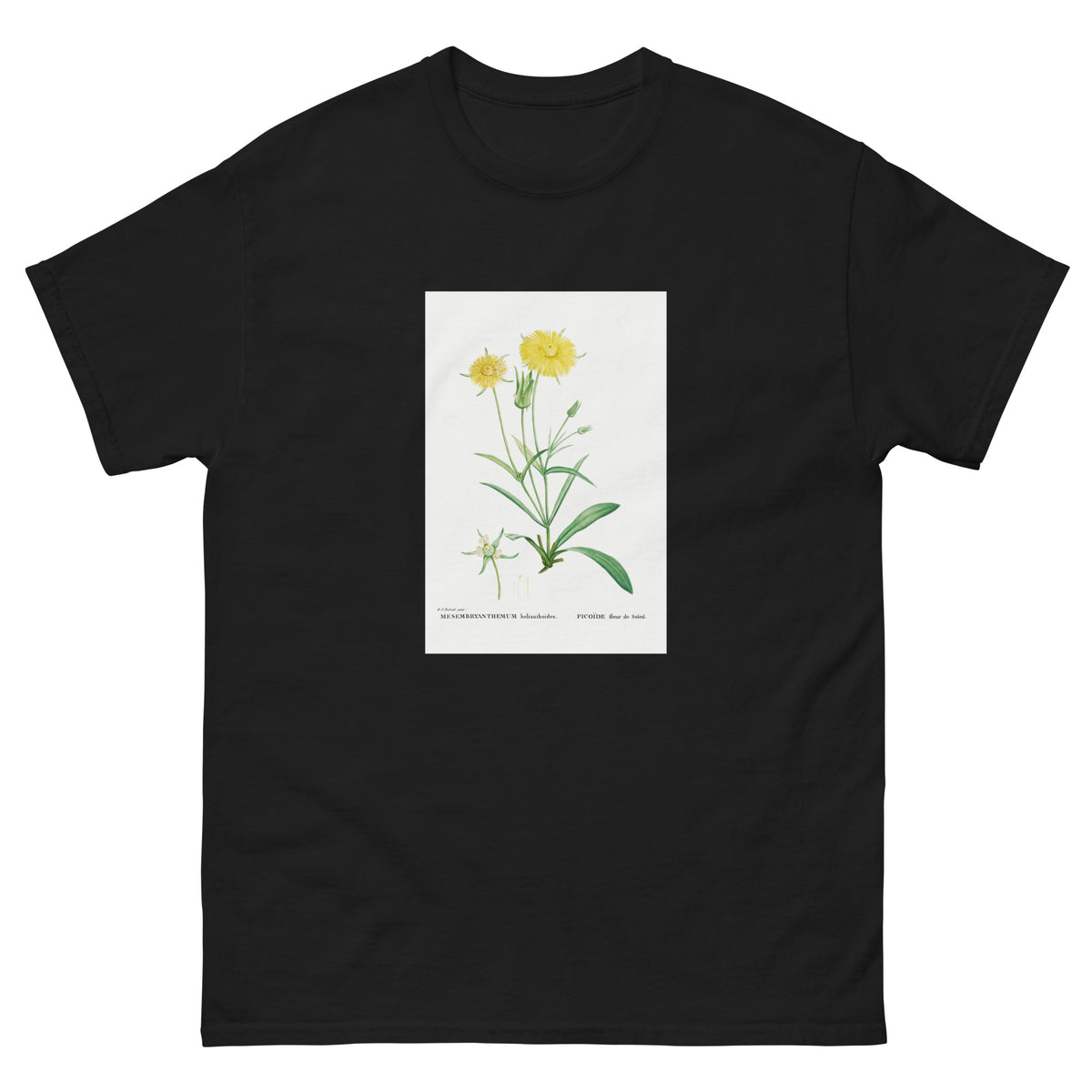 Black T-shirt Mesembryanthemum Helianthoides Spatula Leaved Fig Marigold - Pierre-Joseph 1799 Essential