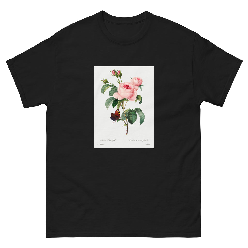Black T-shirt Cabbage Rose - Pierre-Joseph Redoute 1759 Essential