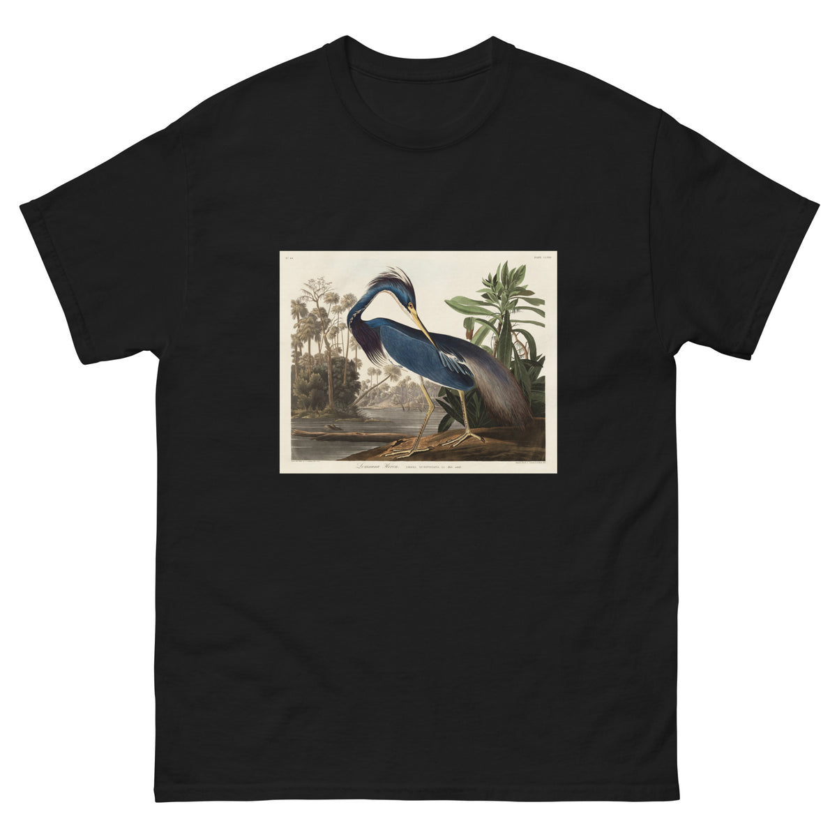 Black T-shirt Louisiana Heron Essential