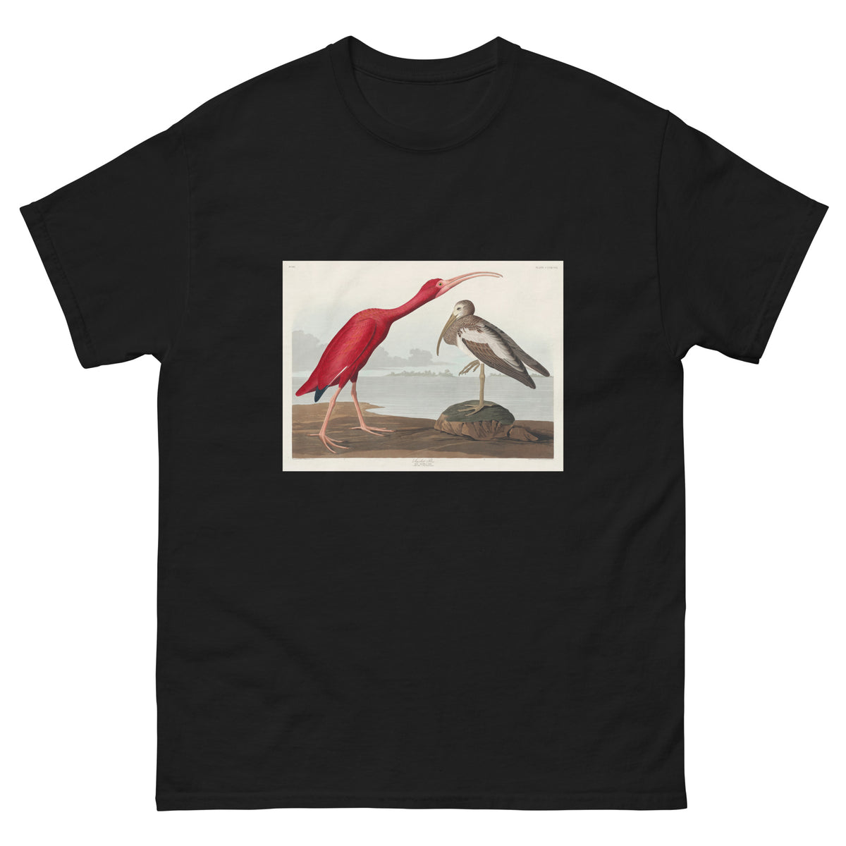 Black T-shirt Scarlet Ibis - John James Audubon 1827 Essential