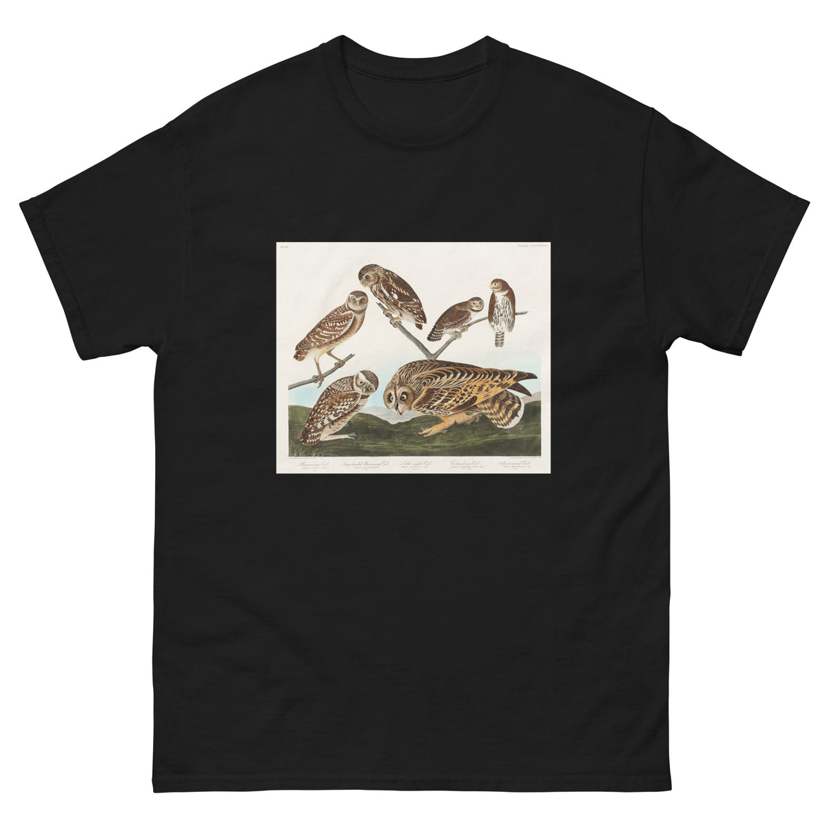 Black T-shirt Burrowing Owl Large-Headed Burrowing Owl Little Night Owl Columbian Owl And Short-Cared Owl - John James Audubon 1827 Essential