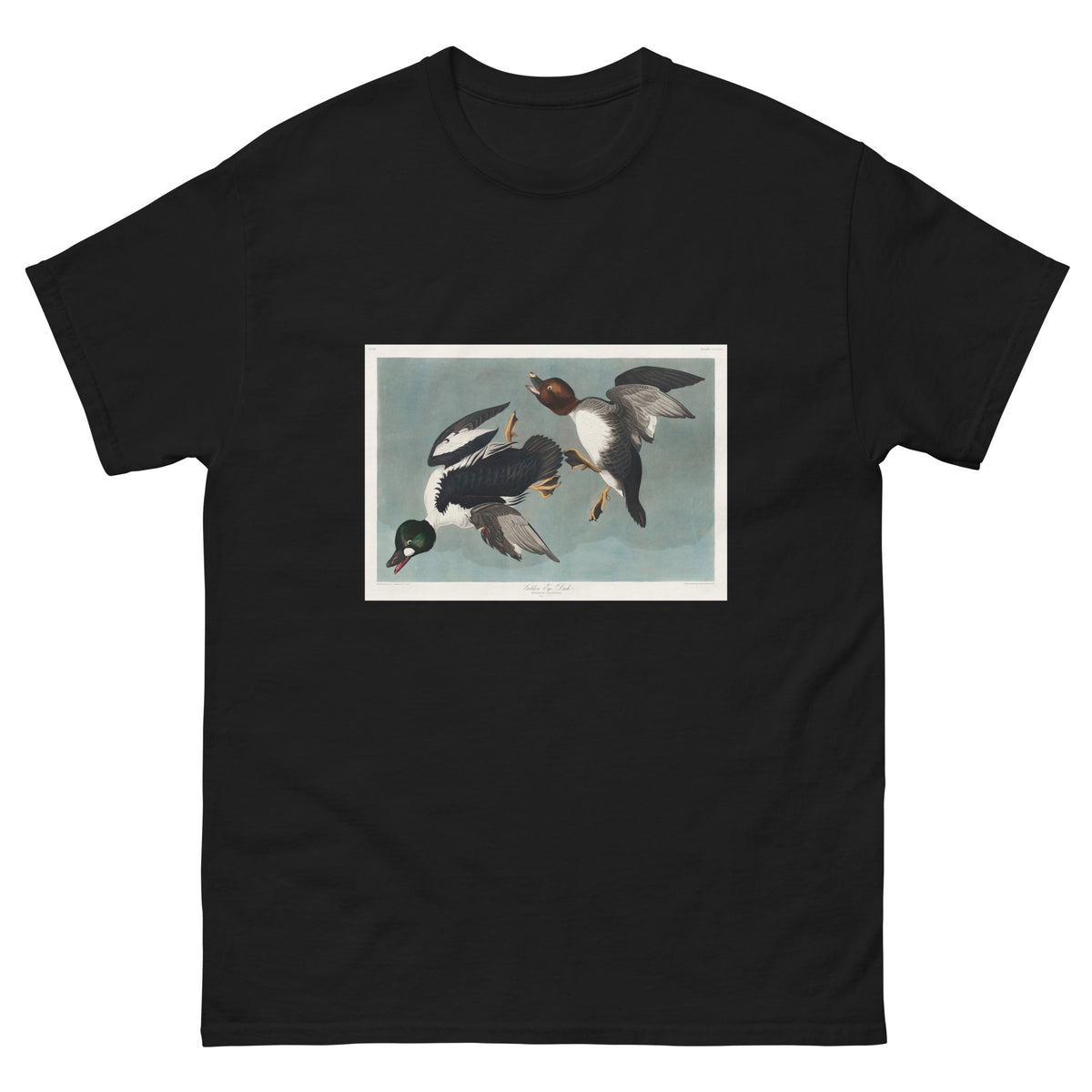 Black T-shirt Golden-Eye Duck Essential