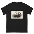 Black T-shirt Black Swan Cygnus Atratus Illustrated - Elizabeth Gould 1804 Essential