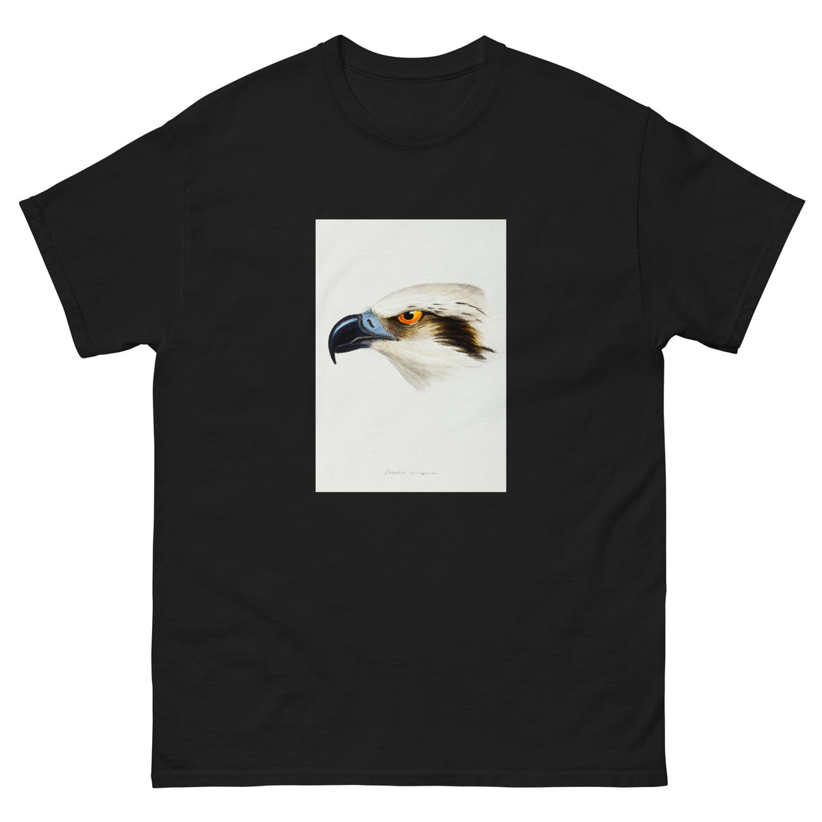 Black T-shirt White-Headed Osprey Pandion Leucocephalus Illustrated Essential