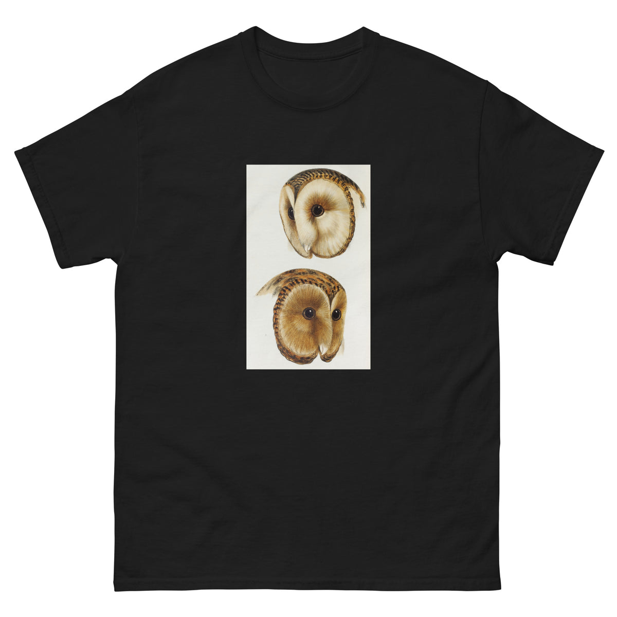 Black T-shirt 1 Masked Barn Owl Strix Personata 2 Tasmanian Masked Owl Strix Castanops Illustrated Essential