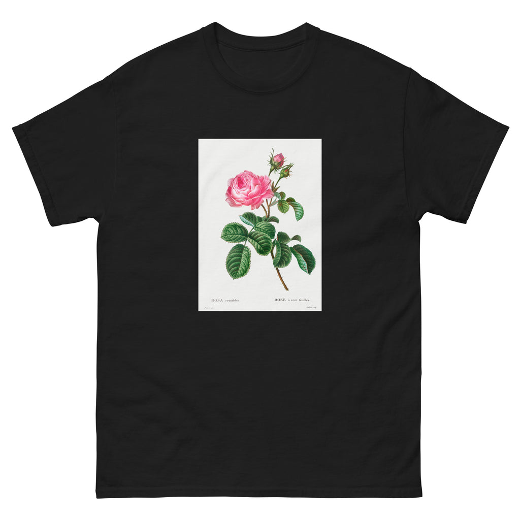 Black T-shirt Cabbage Rose Rosa Centifolia Essential