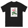 Black T-shirt Cabbage Rose Rosa Centifolia Essential