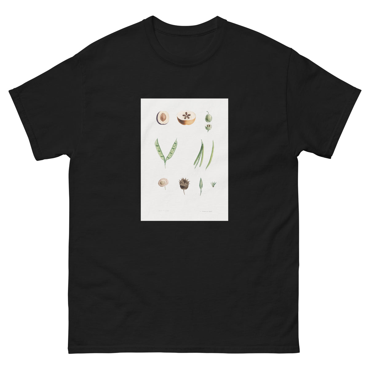 Black T-shirt Plants Part - Pierre-Joseph Redoute 1759 Essential