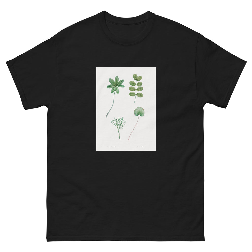 Black T-shirt Tree Leaf Set - Pierre-Joseph Redoute 1759 Essential