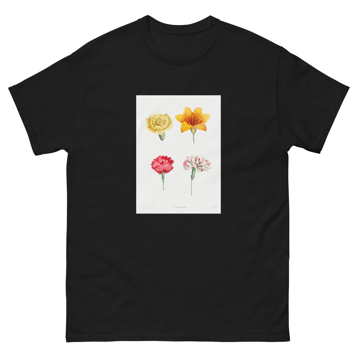 Black T-shirt Flower Set - Pierre-Joseph Redoute 1759 Essential