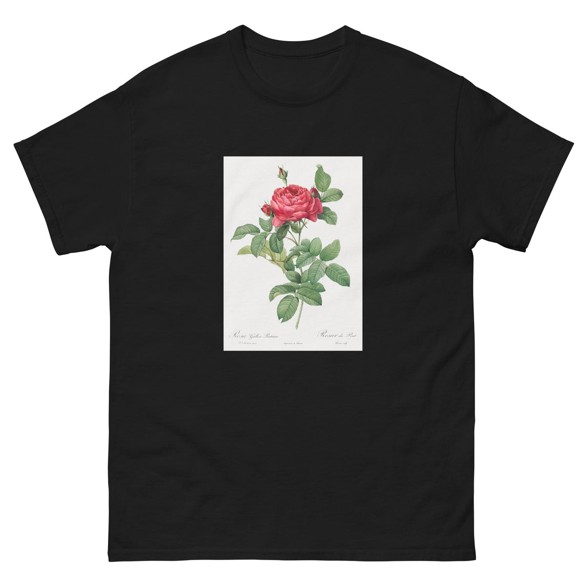 Black T-shirt Rosa Gallica Pontiana Also Known As Bridge Rose Essential