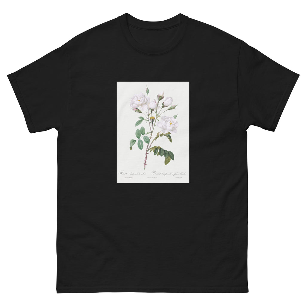 Black T-shirt Rosa Campanulata Alba Also Known As Pink Bellflowers To White Flowers Essential